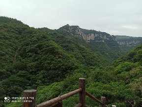 找聊天搭子
