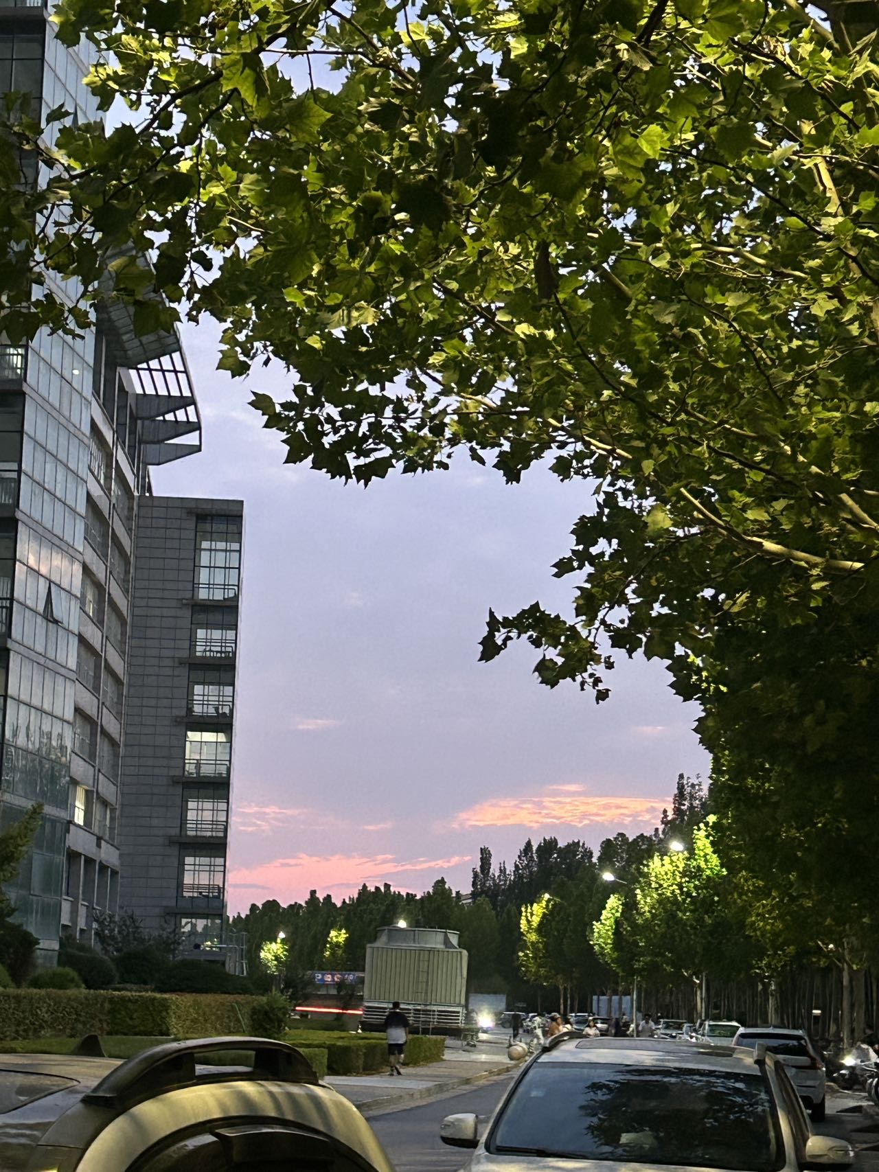 找学习搭子