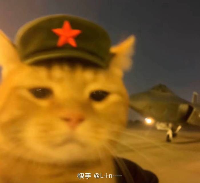 找吃饭搭子