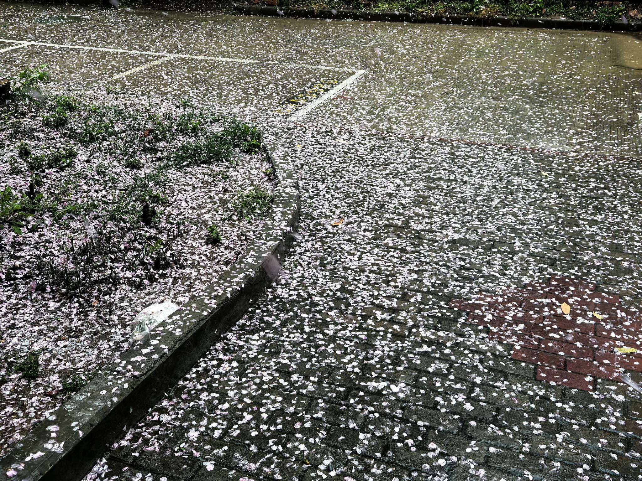 找旅游搭子