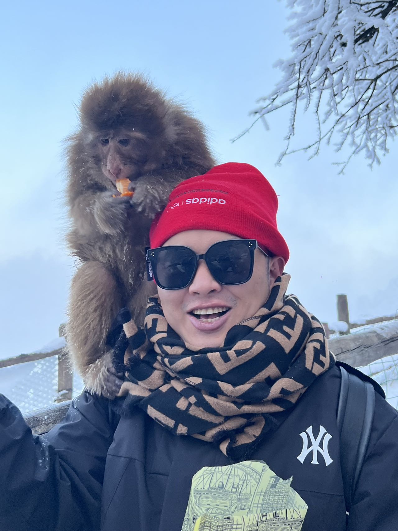 找旅游搭子