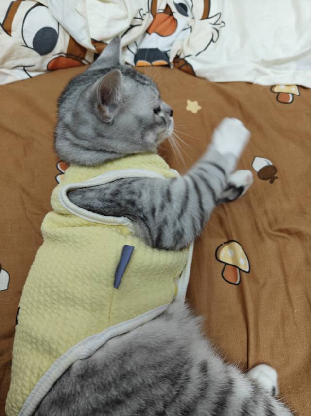 找台球搭子