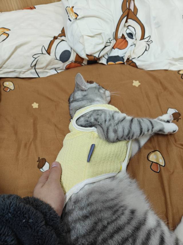 找台球搭子