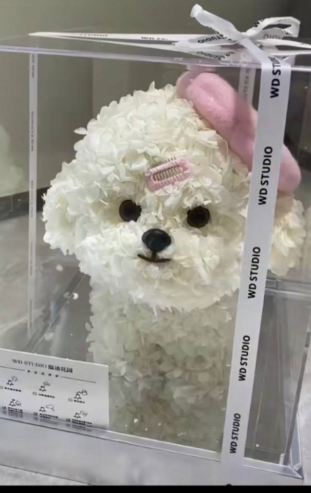 找散步搭子