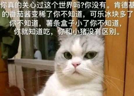 找生活搭子