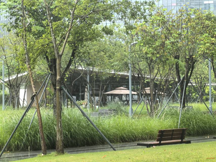 找运动学习旅游搭子