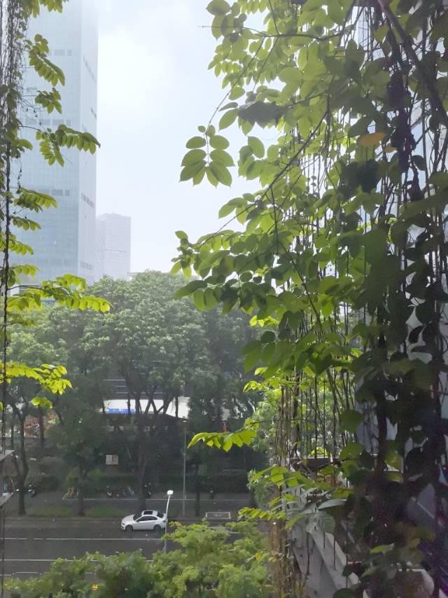 找运动学习旅游搭子