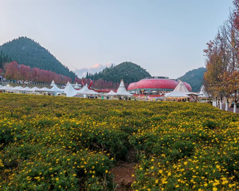 找旅游搭子