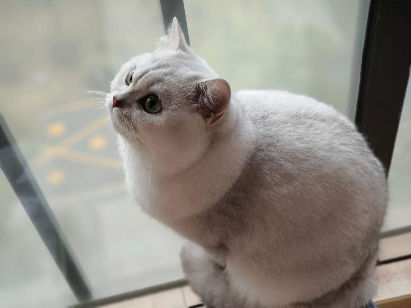 找聊天搭子