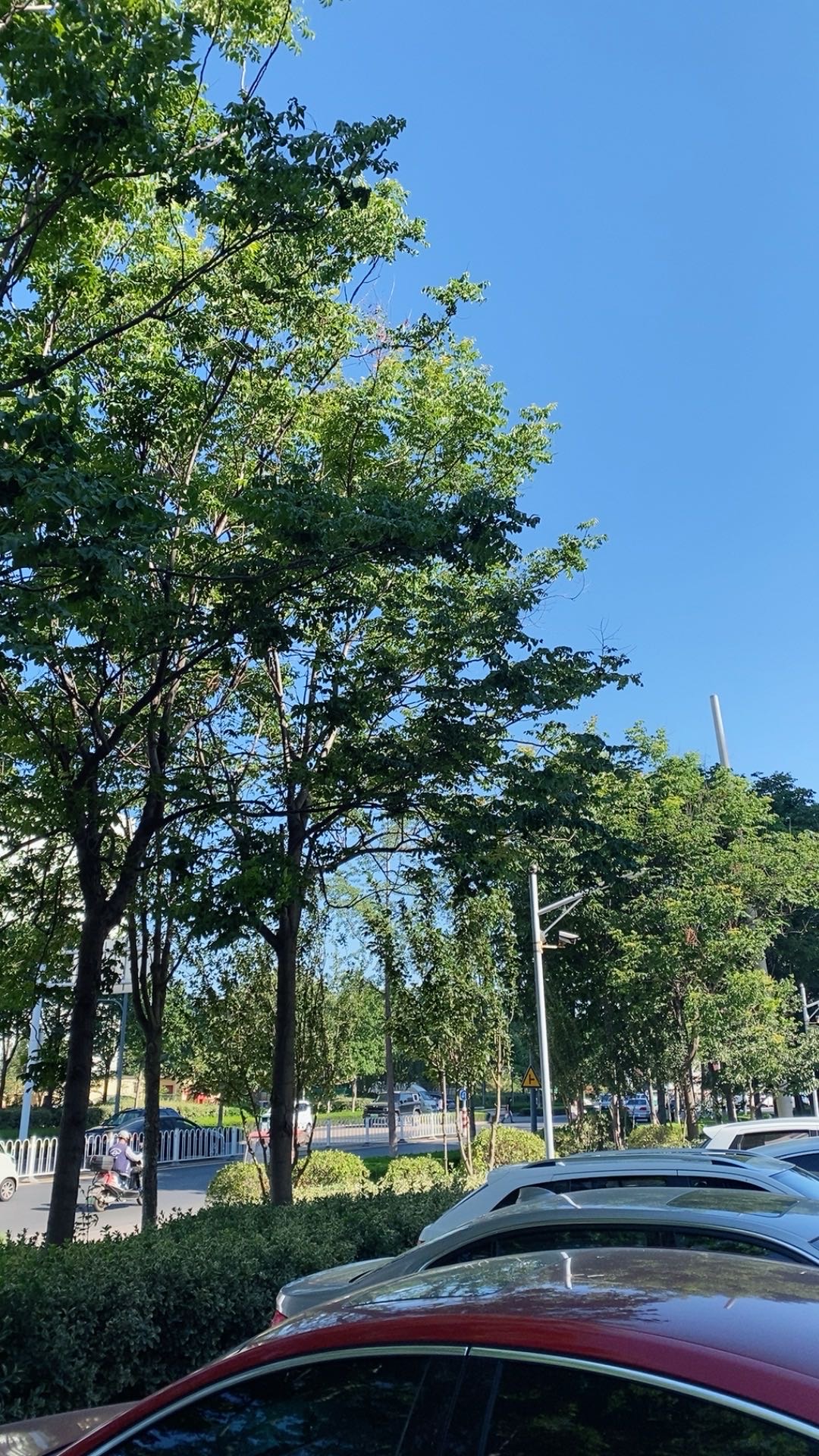 找旅游搭子