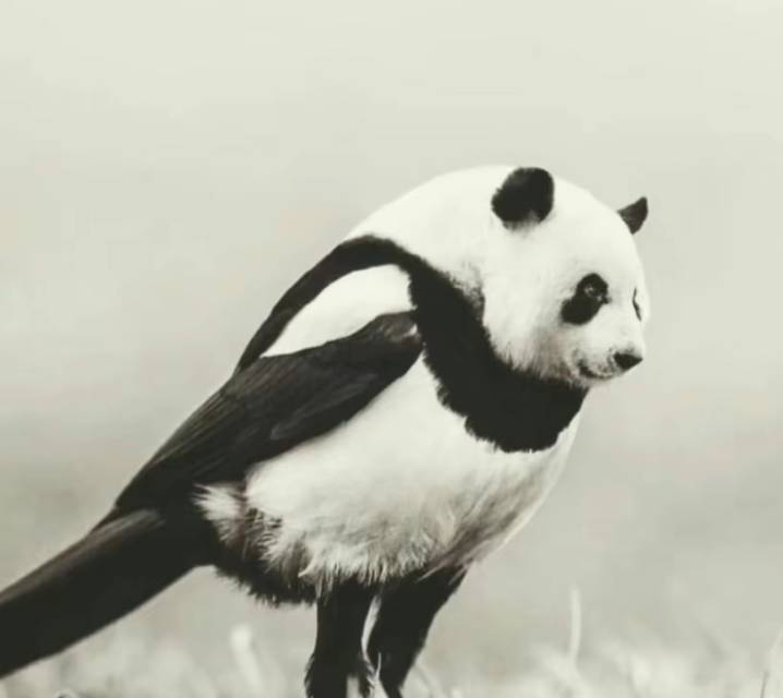 找台球搭子