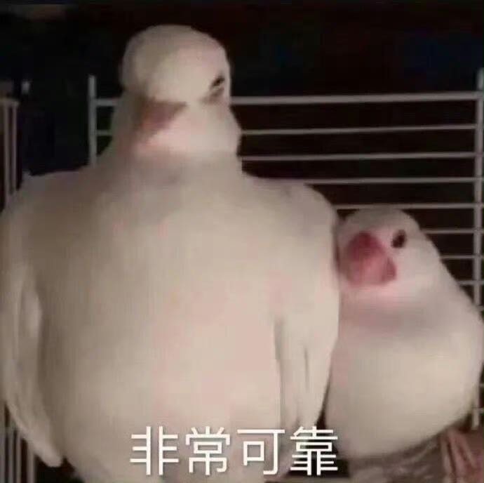 找滑雪搭子