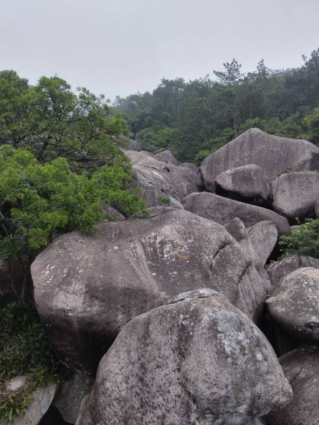 找爬山旅游搭子