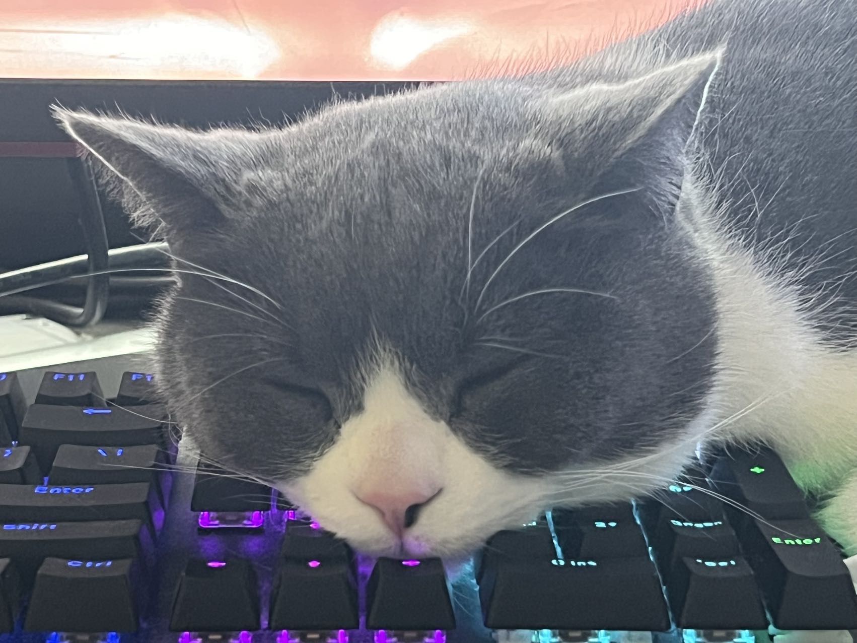 找考证搭子