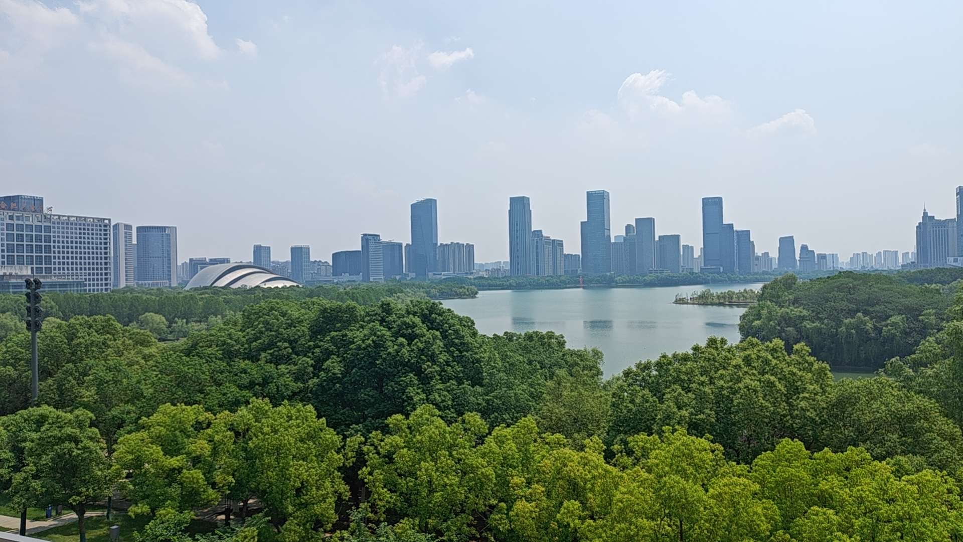 找学习搭子