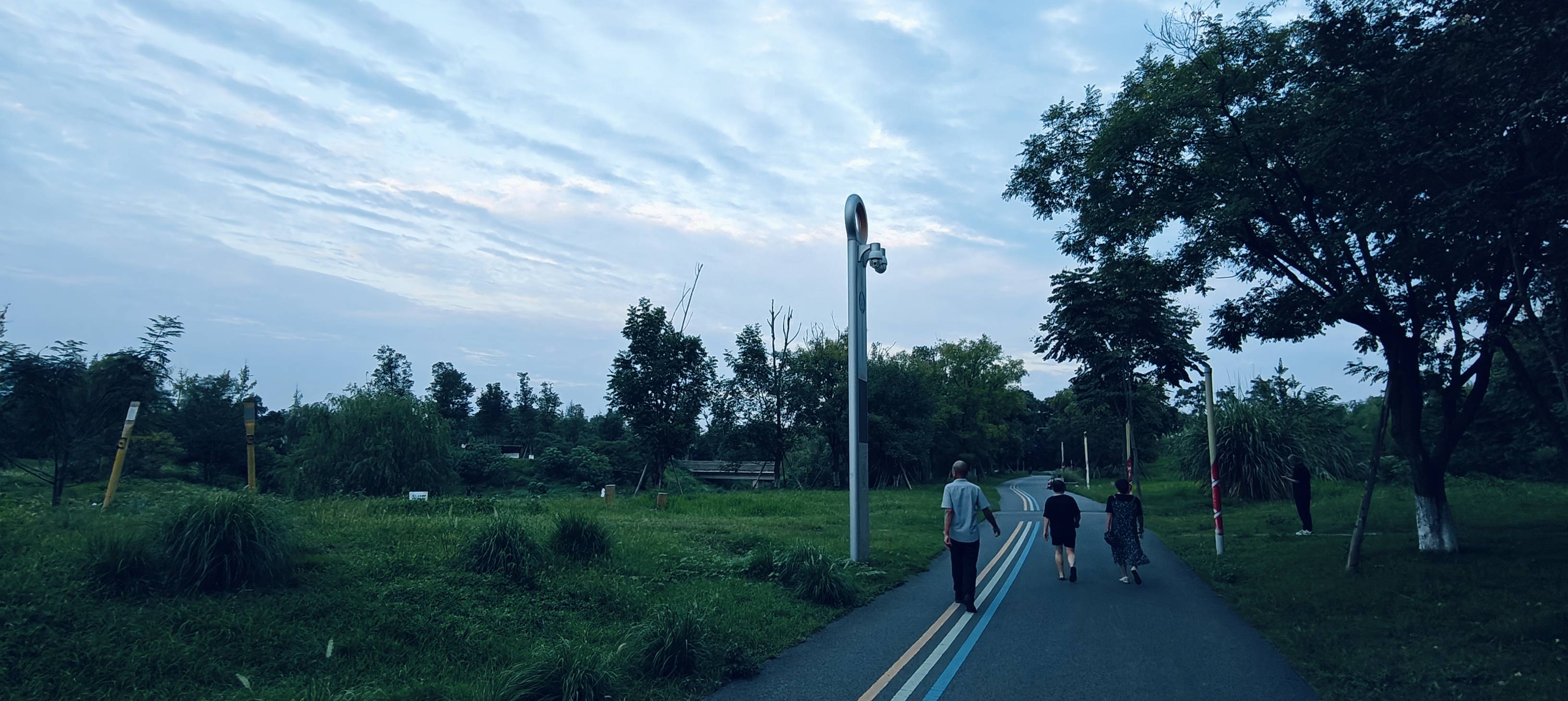 找学习搭子