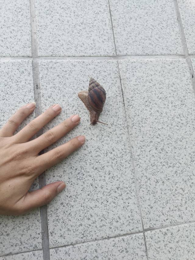 找不固定干啥的搭子