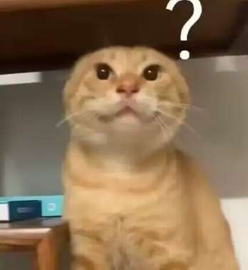 找聊天搭子