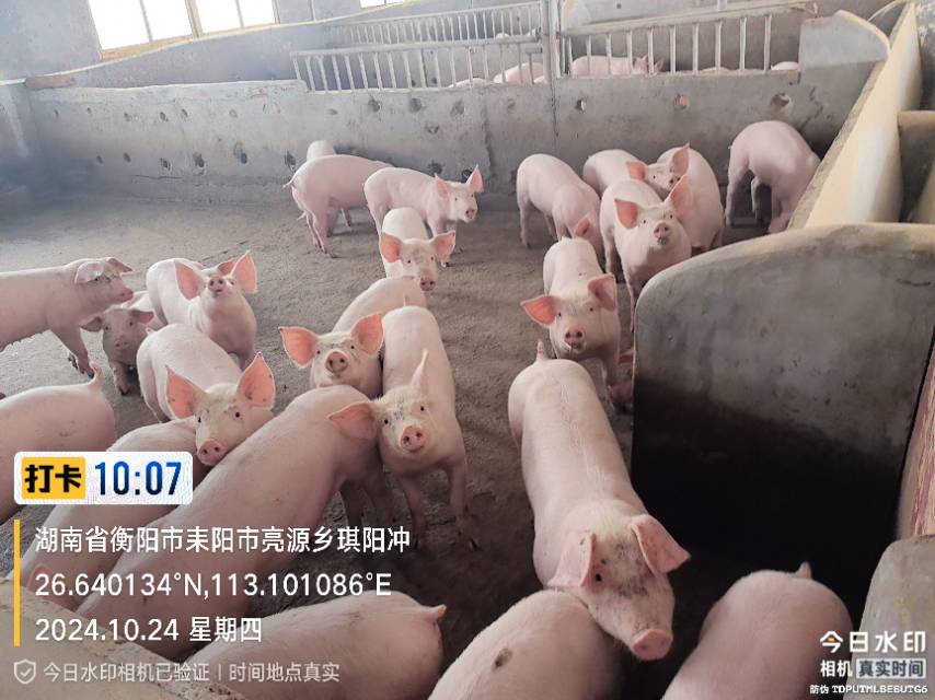 找游戏搭子