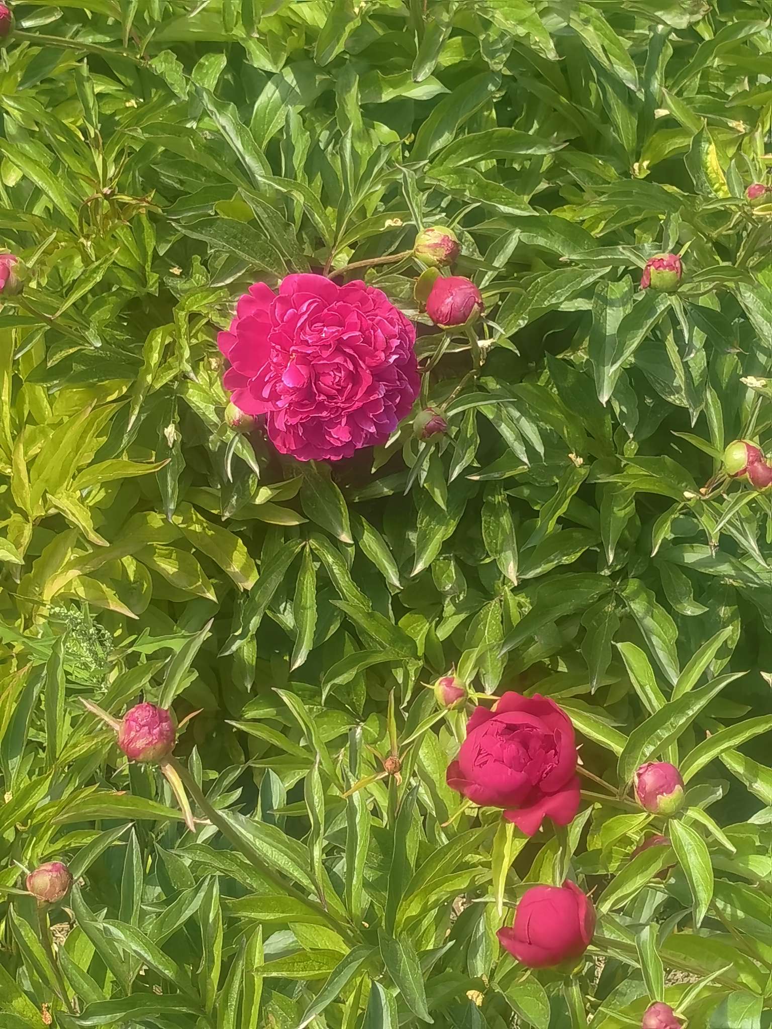 找爬山搭子