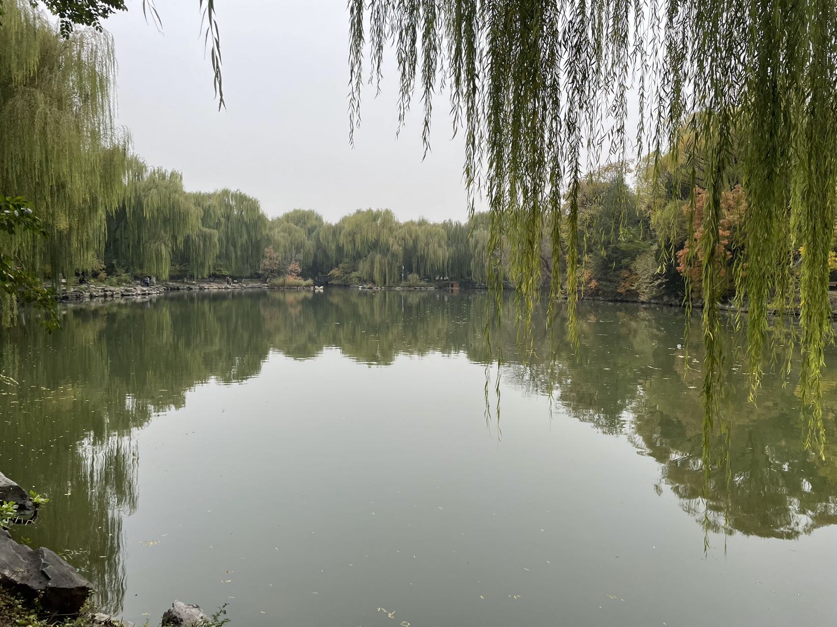找聊天搭子