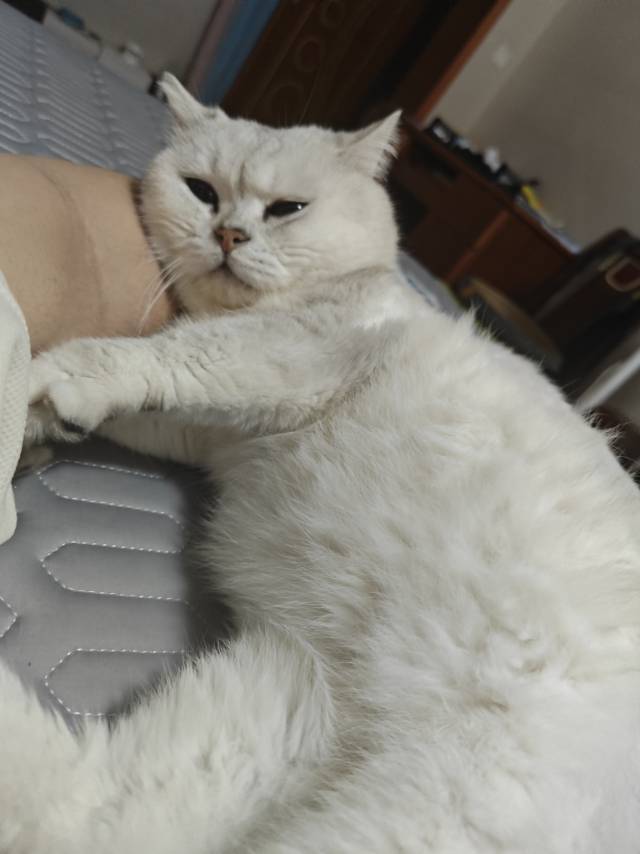找吃饭搭子
