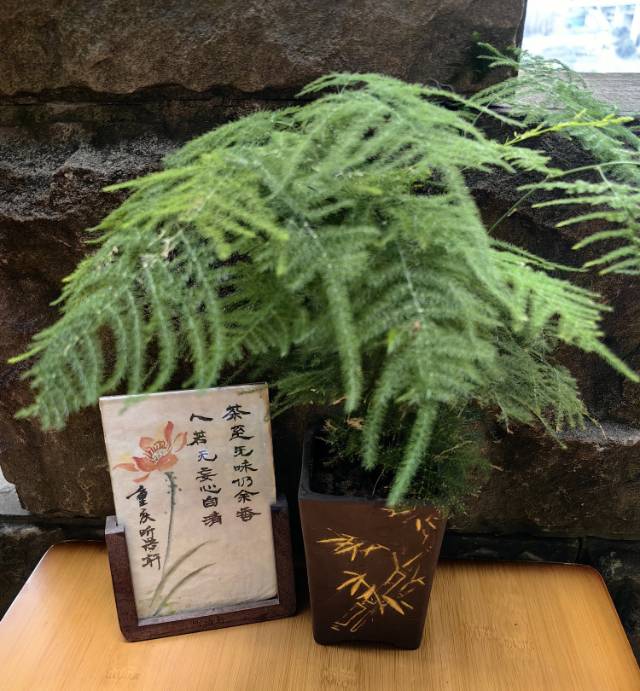 找市内游搭子