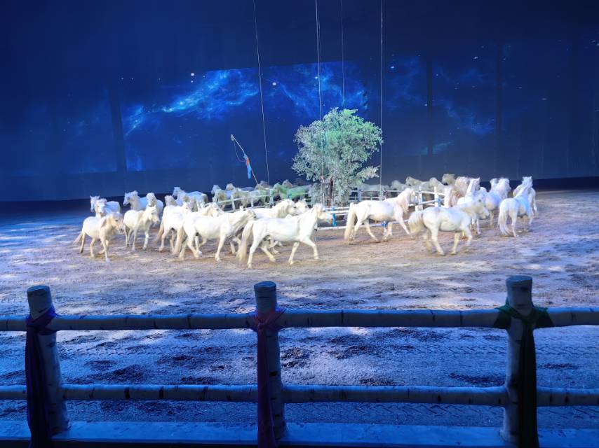 找旅游搭子