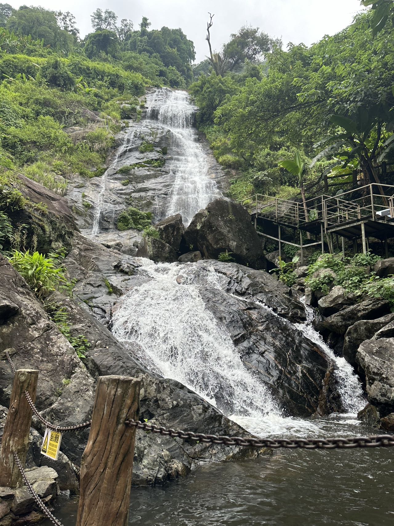 找喝茶运动搭子