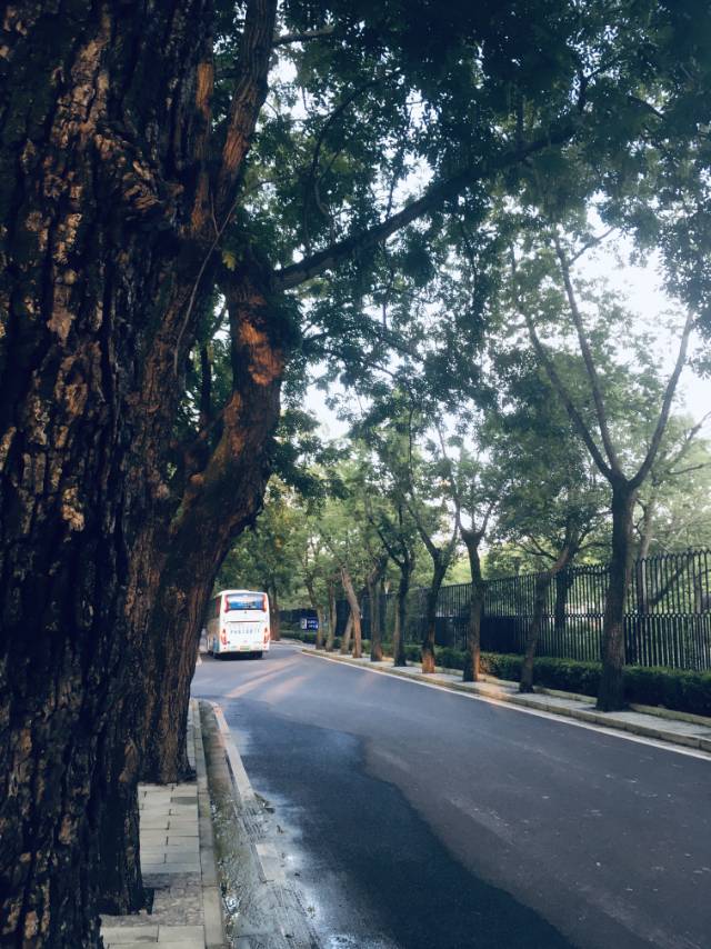 找户外搭子