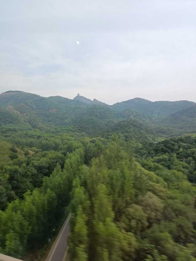 找旅游搭子