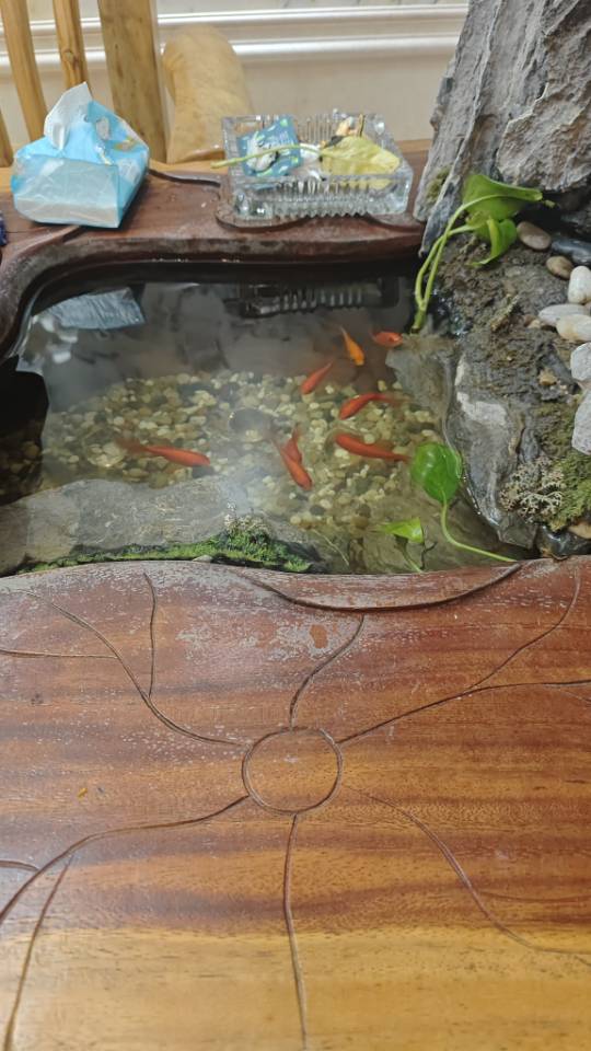 找谈恋爱搭子