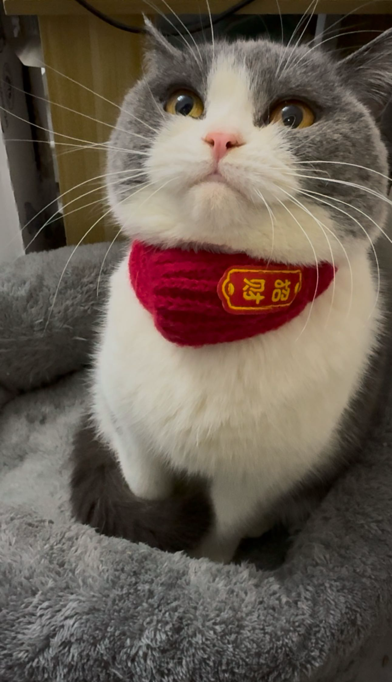 找旅游学系搭子