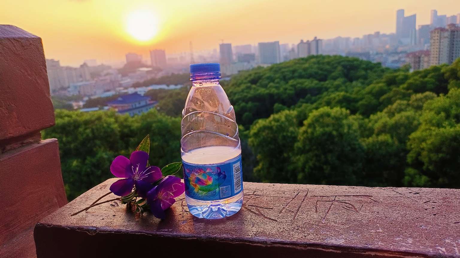 找同命相连搭子
