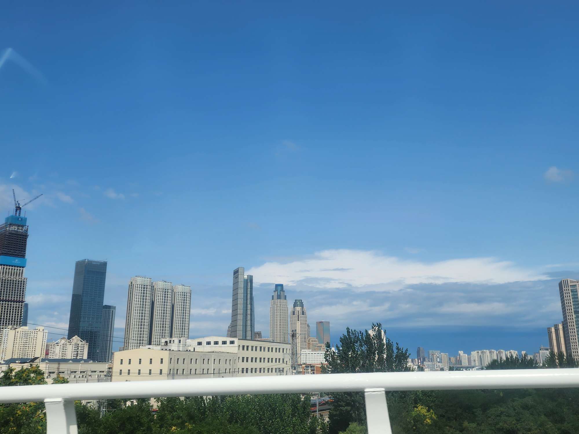 找读书搭子