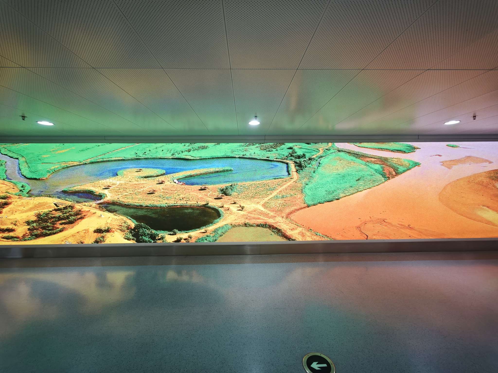 找旅游搭子