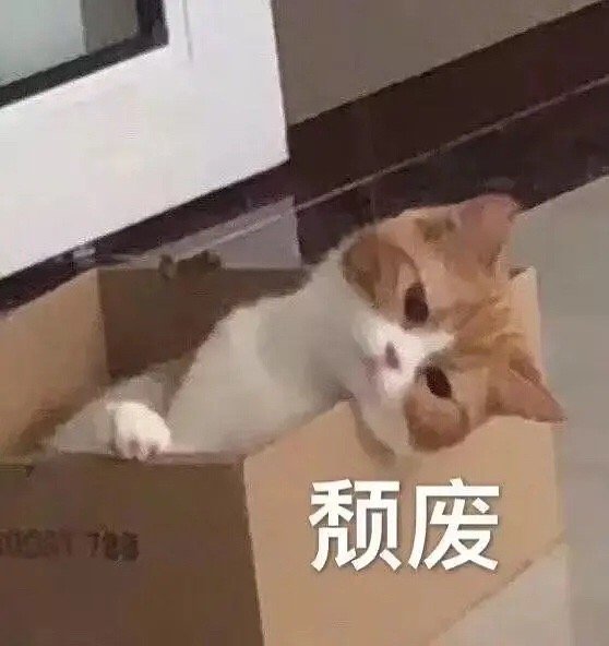 找电影搭子