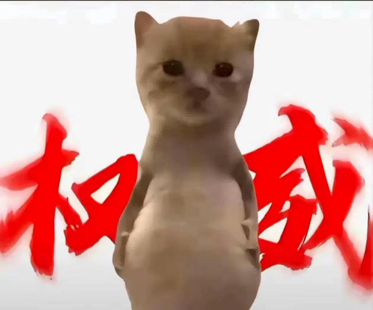 找运动搭子