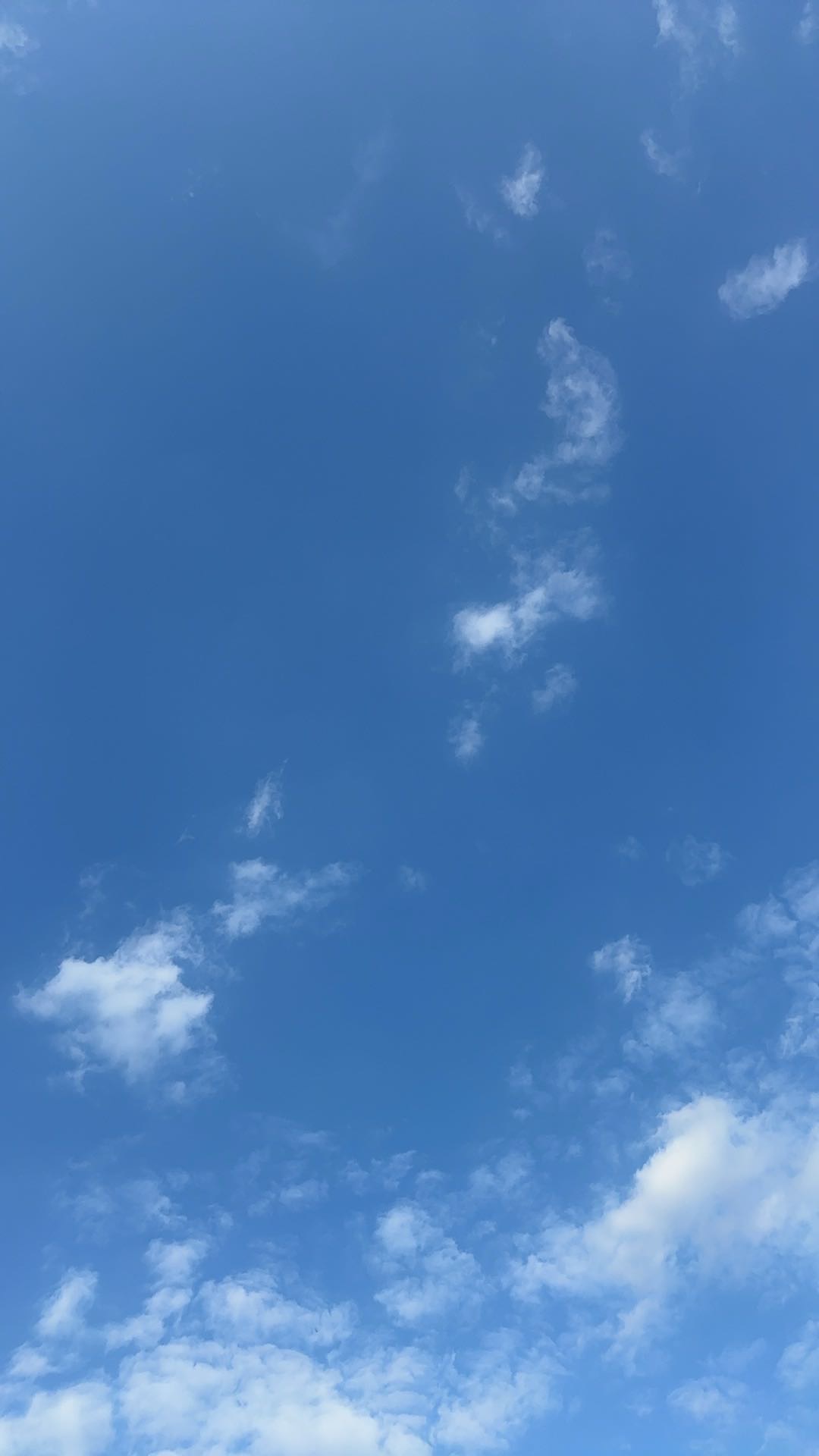 找旅游搭子