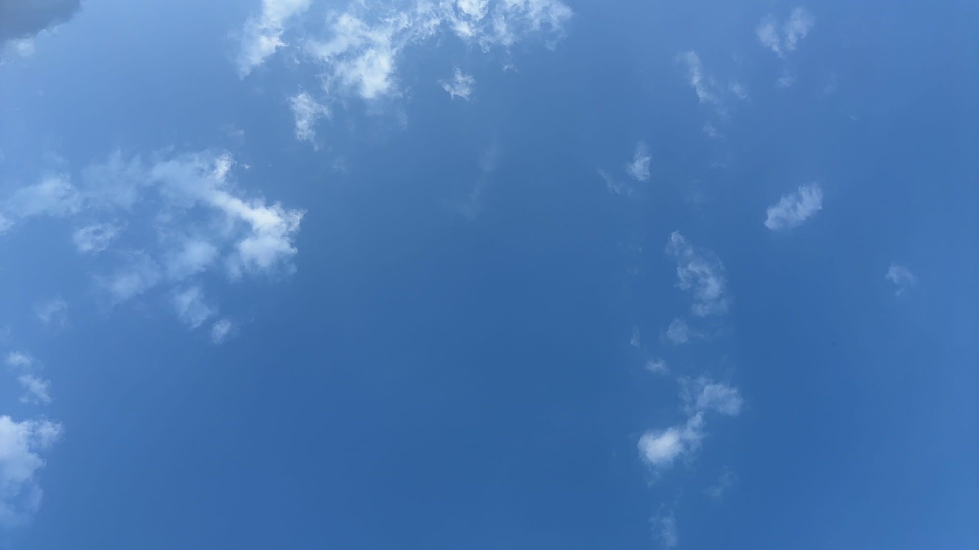 找旅游搭子