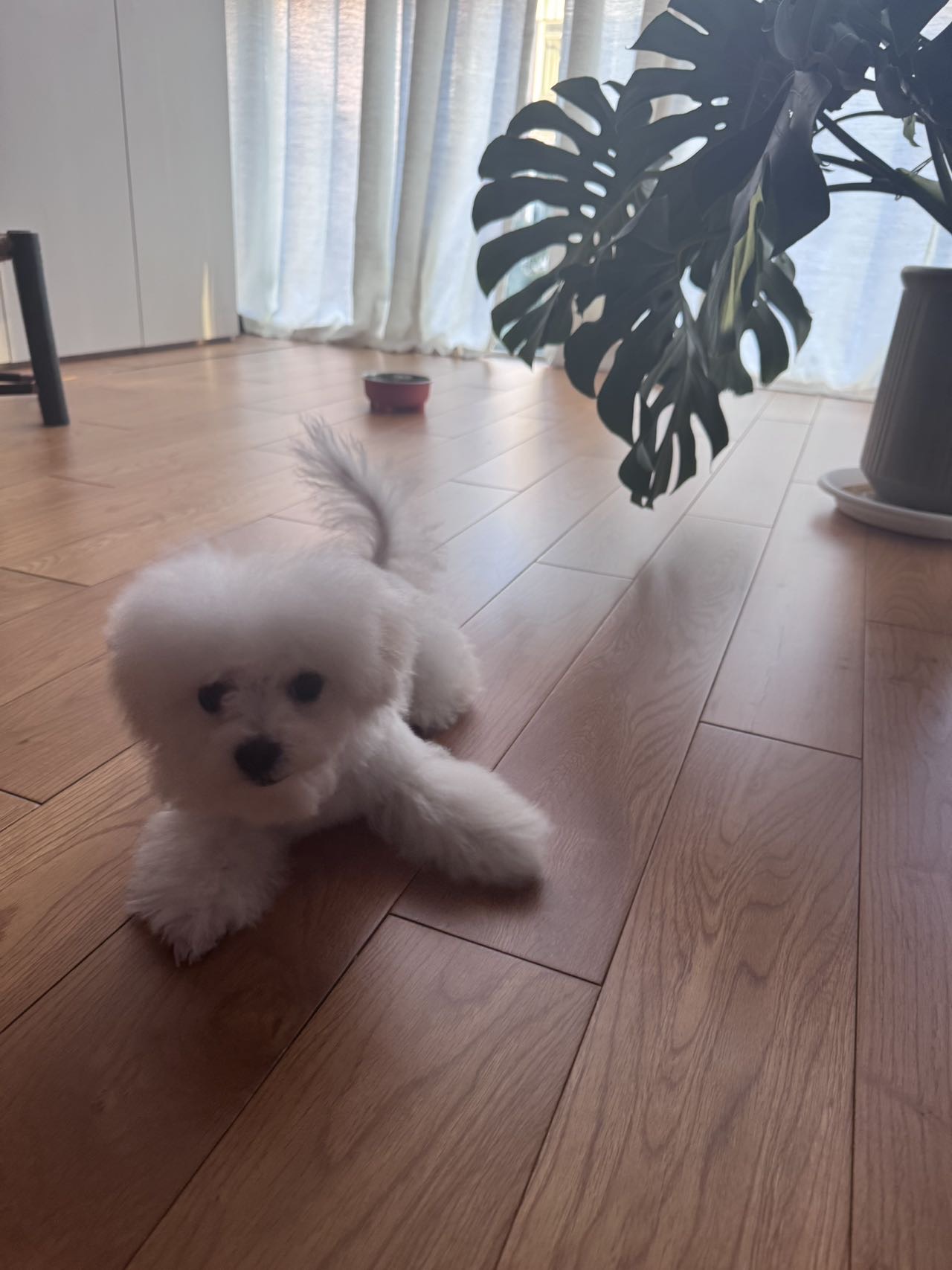 找运动搭子