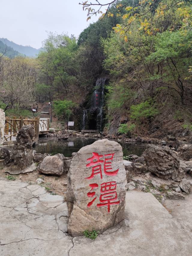 找运动搭子