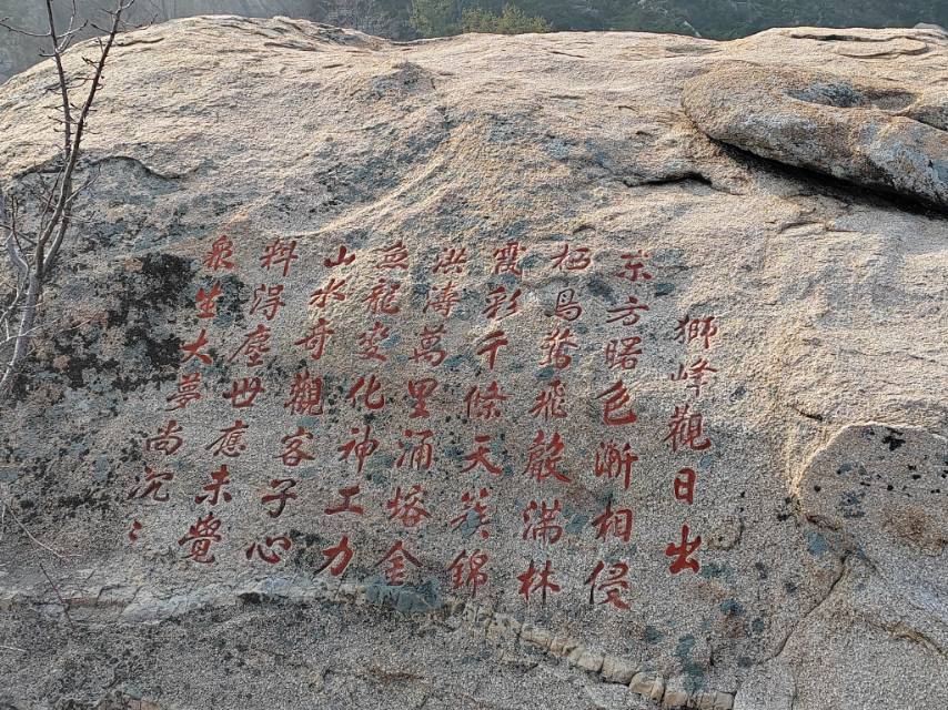 找旅游搭子