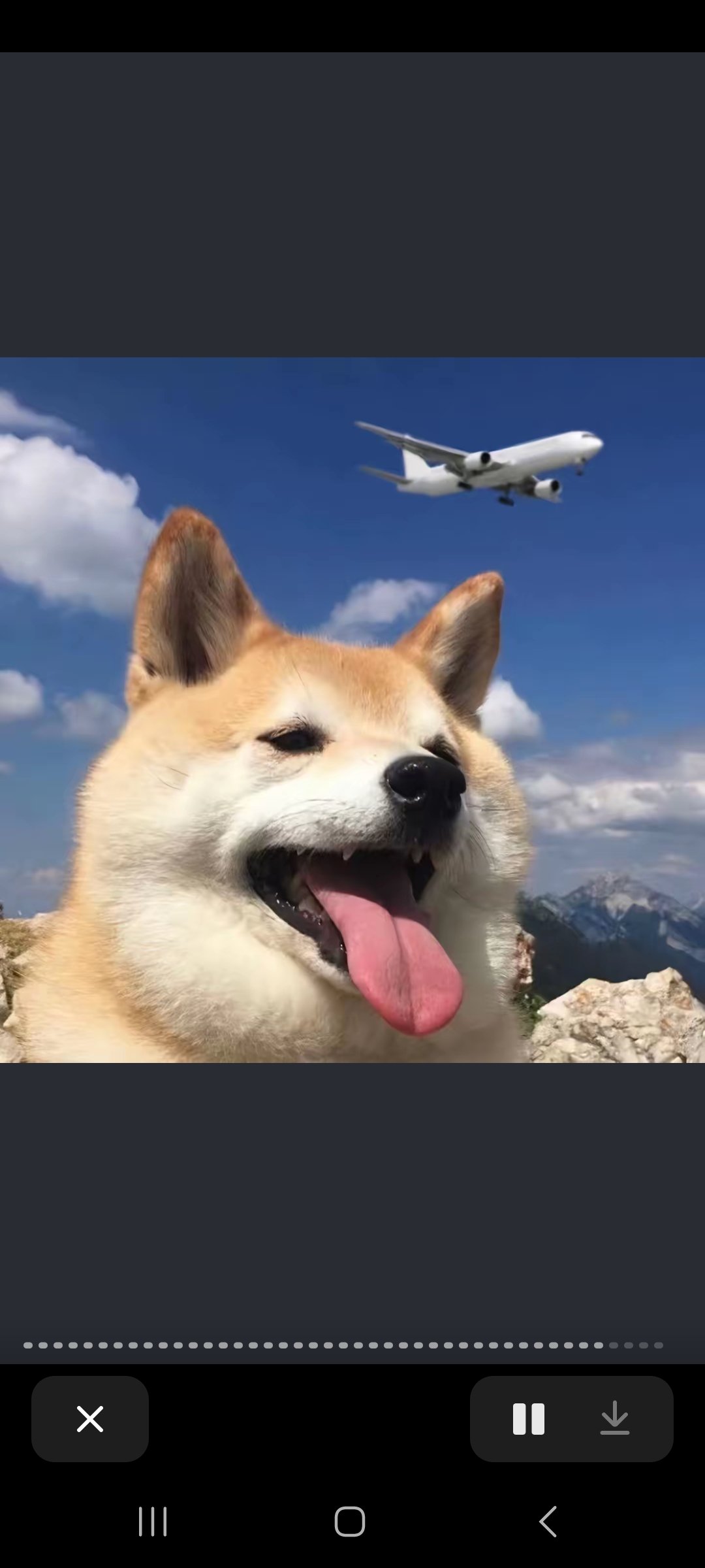 找运动搭子