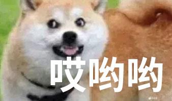 找游戏搭子
