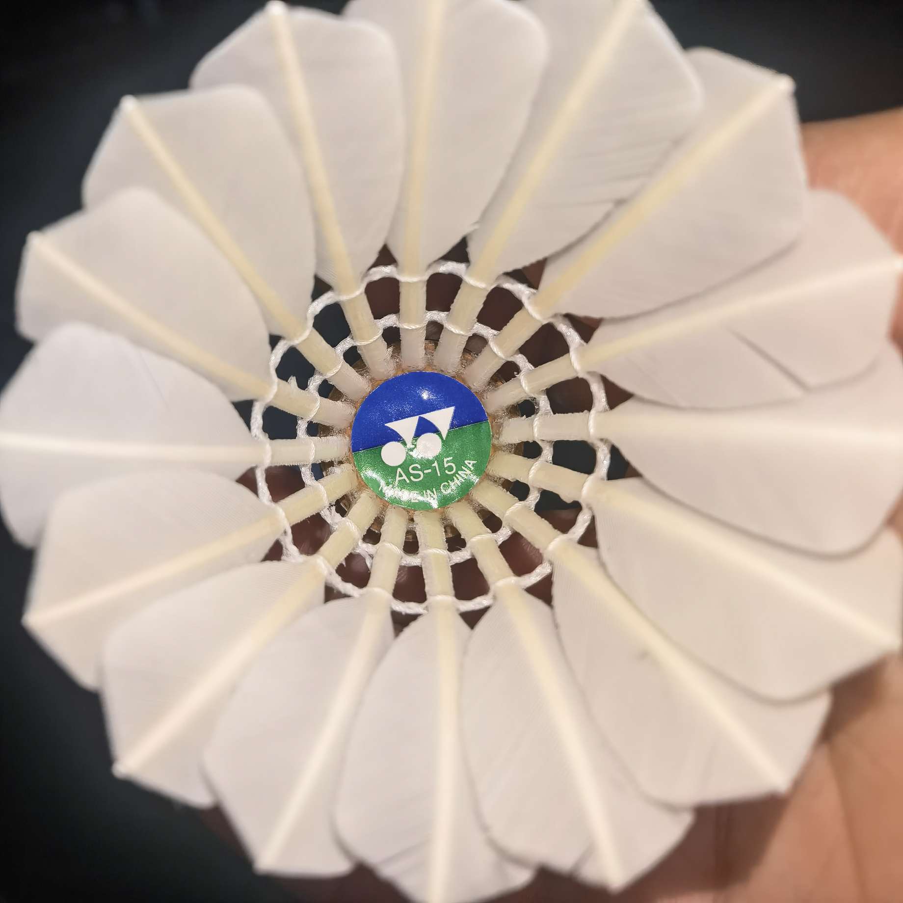 找羽毛球搭子