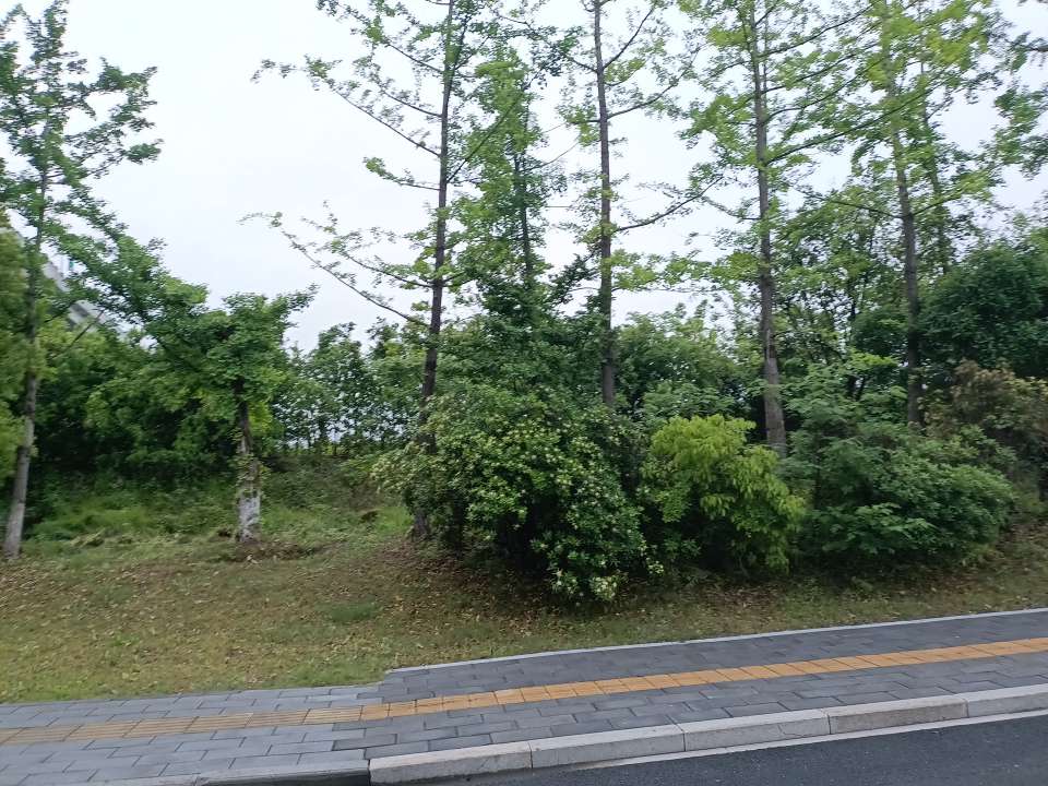 找聊天搭子