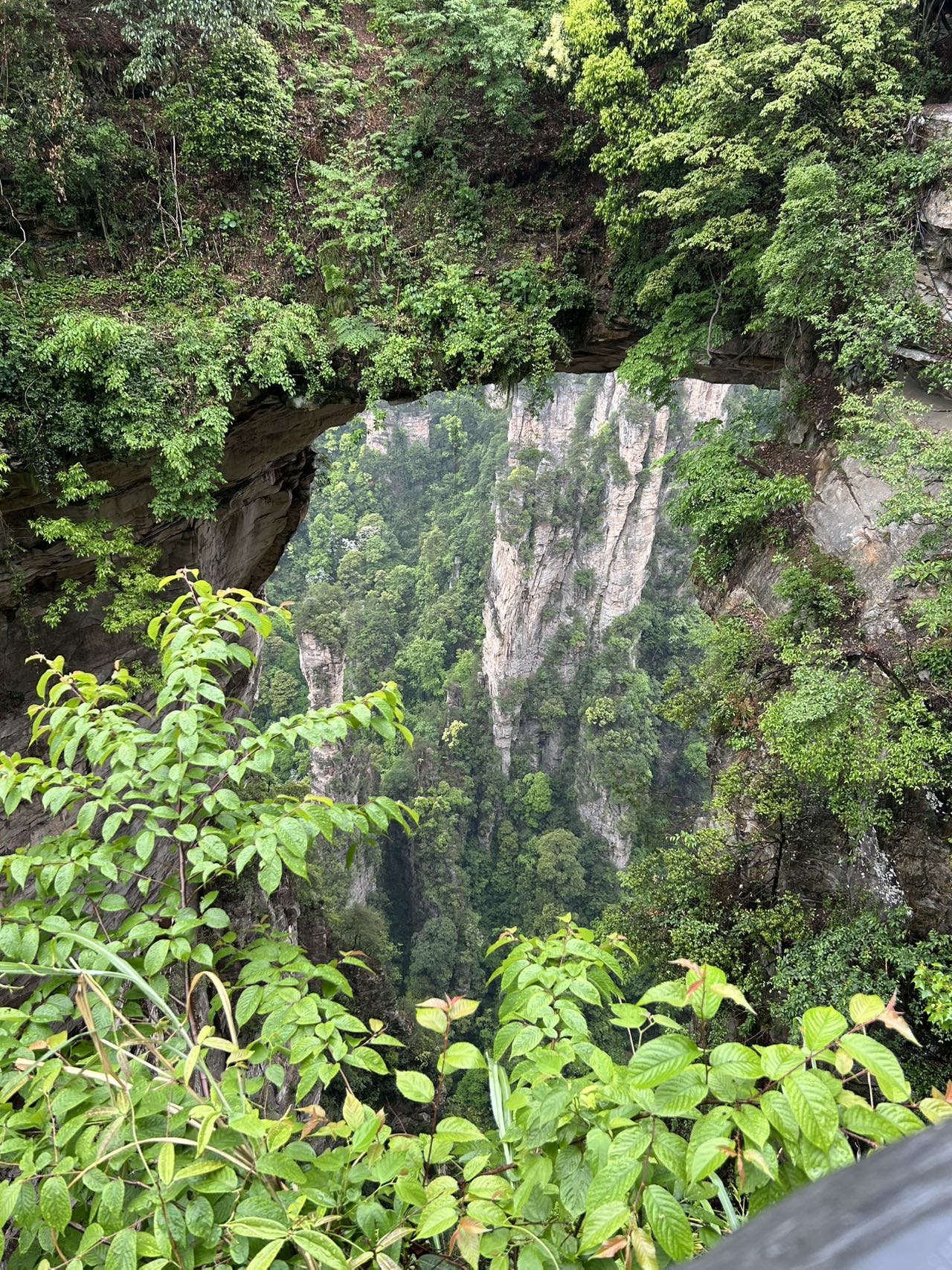 找旅游搭子
