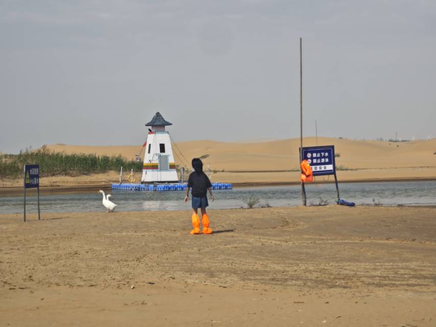 找旅行搭子