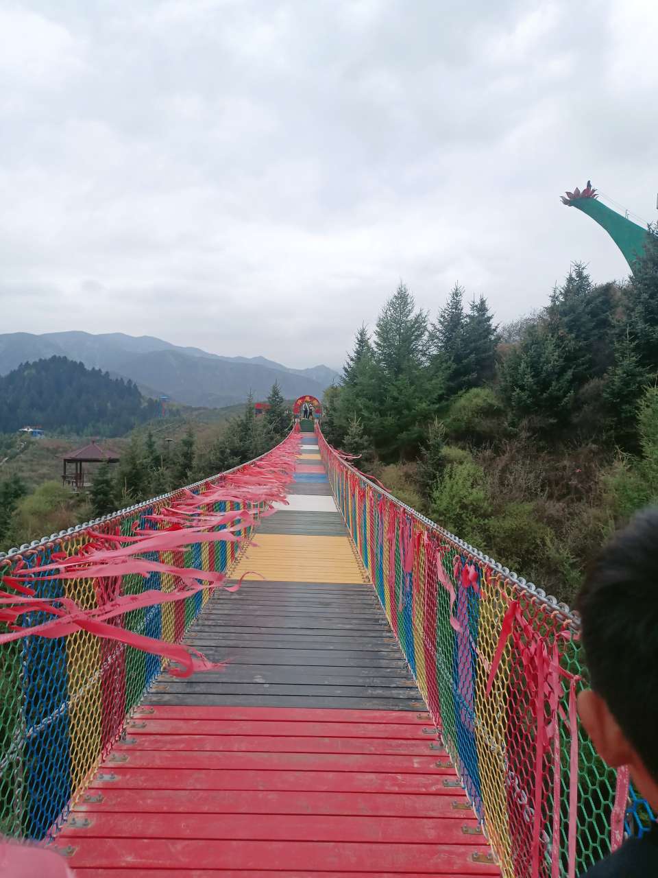 找互相督促学习搭子